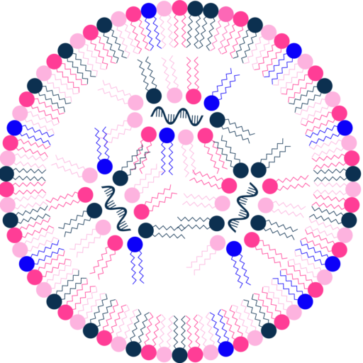 LNP-Immunogenicity-and-Toxicity-logo-Favicon