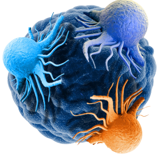 Tumour Models London